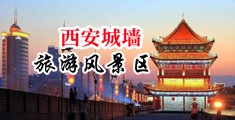 美国透B视频中国陕西-西安城墙旅游风景区